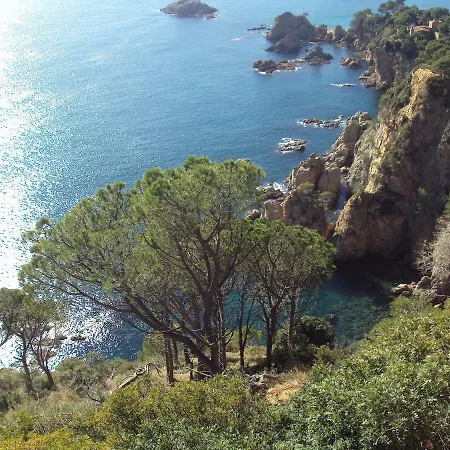 Apartamento Victor *